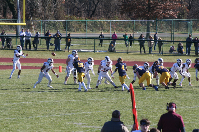 IMG-2946.jpg