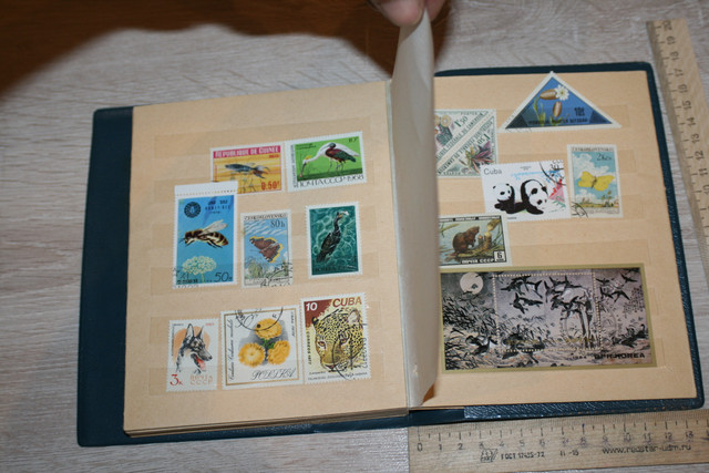 IMG-0648