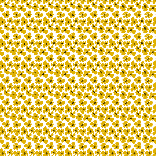 64 copy.png