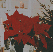 christmas.gif