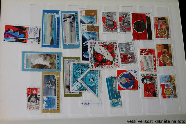IMG-3028.jpg