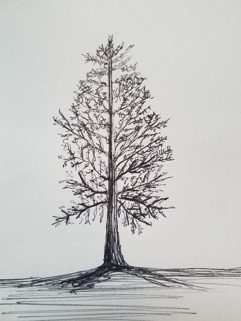 1 Plant Tree