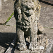 IMG 6285
