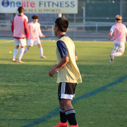 IMG-0061