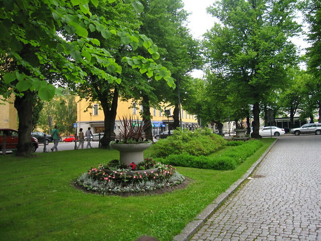 IMG-6294