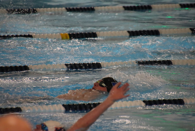 IMG-0037
