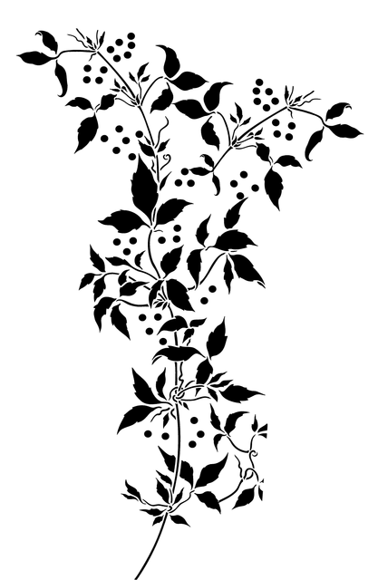 2b97ed0b6a2ca384df6b7c1ee13782d7 (2).png