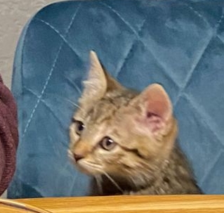 katzer.jpg