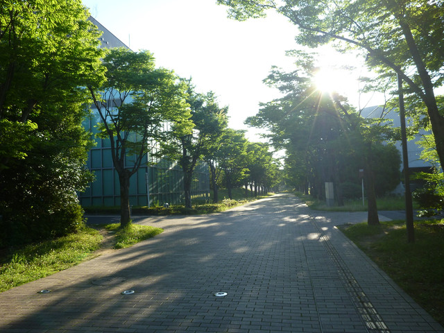P1320120
