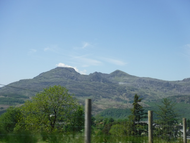 DSCF7910.jpg