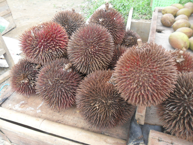 Lahung