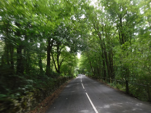 DSCF9139.jpg
