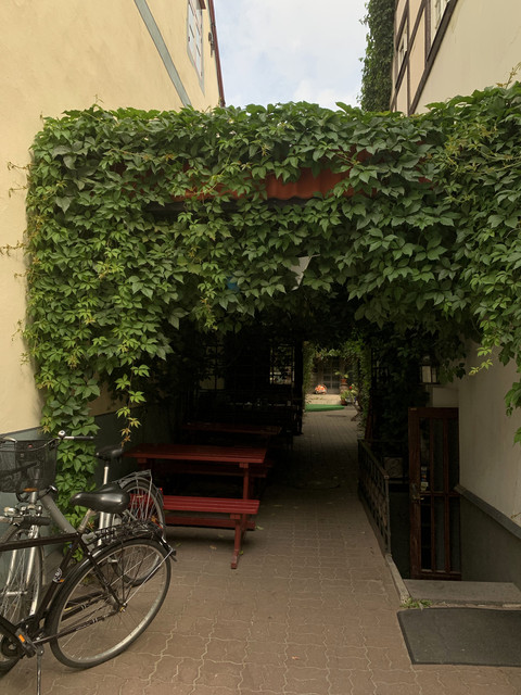 IMG-3364