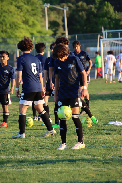 IMG-0339.jpg