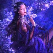 12.gif