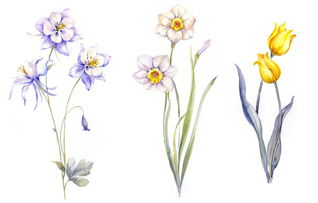 shutterstock 1812838666.jpg