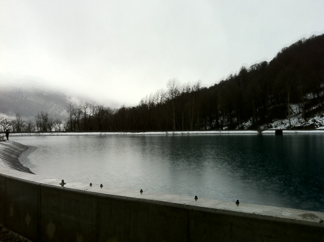 IMG-0081.jpg