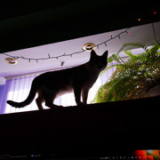 IMG-20220125-150333