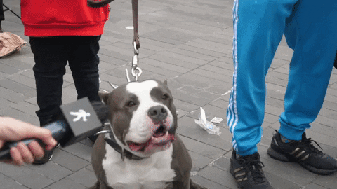 [Image: giphy.gif]