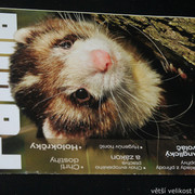 IMG-7742