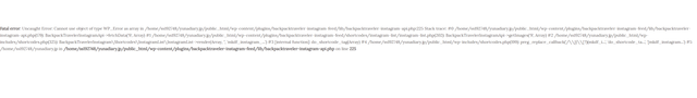 bug-instasgram