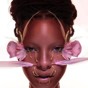 willow10