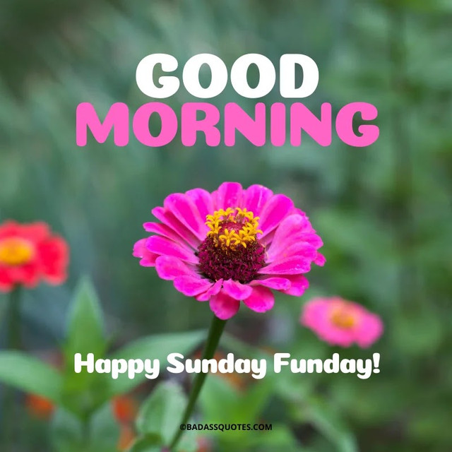 sunday-16