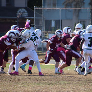 IMG-4102