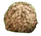 kleinesgiotto.png