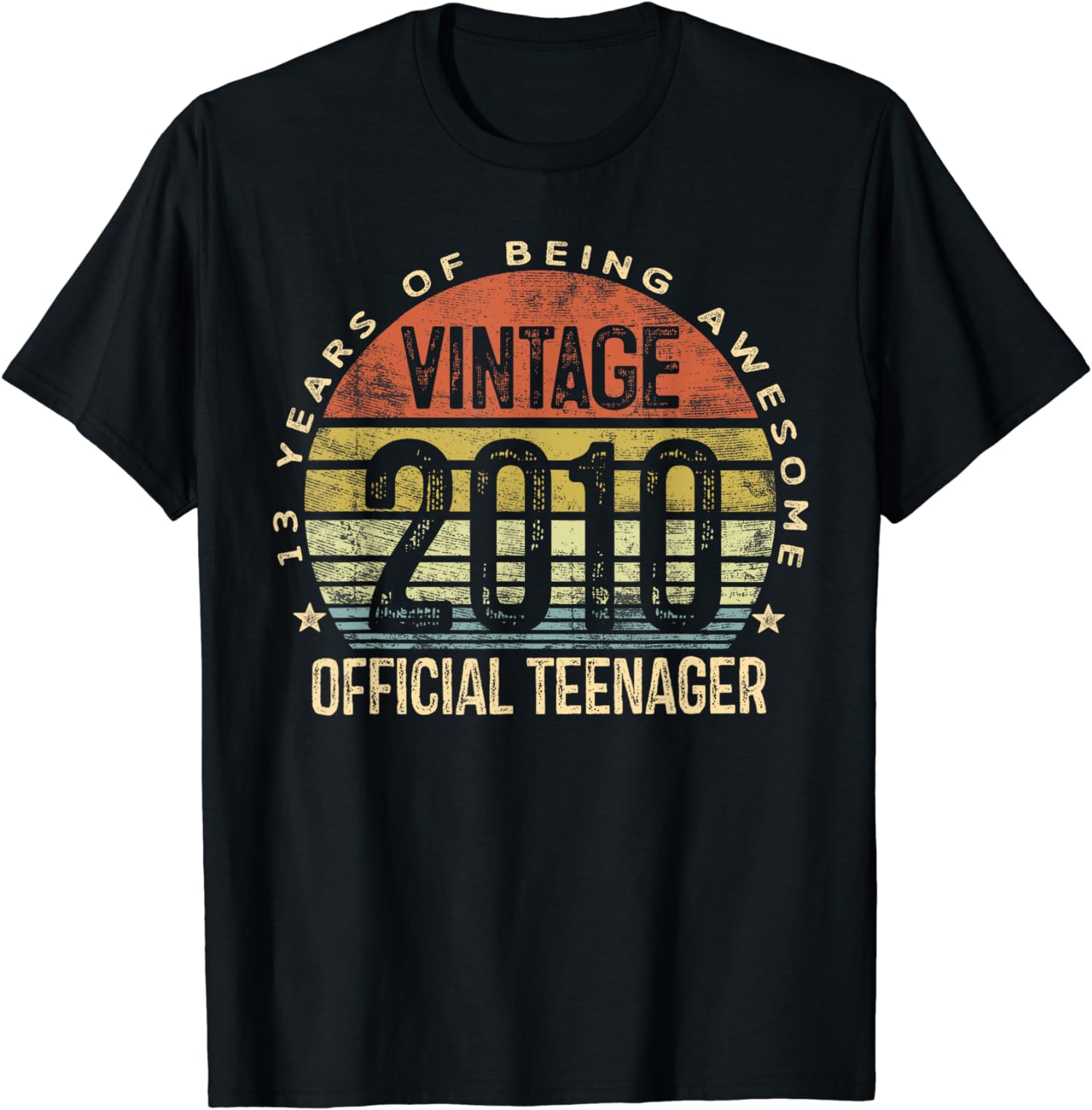 Vintage 2010 Official Teenager 13th Birthday Gifts 13 Unisex T-Shirt