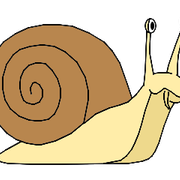 Snail