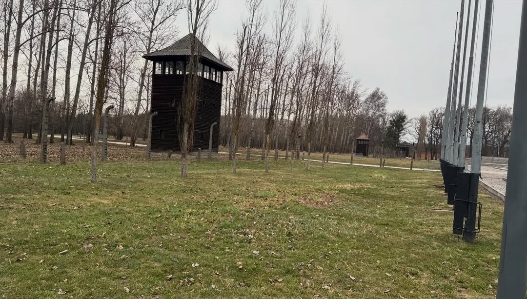 Birkenau tour de garde