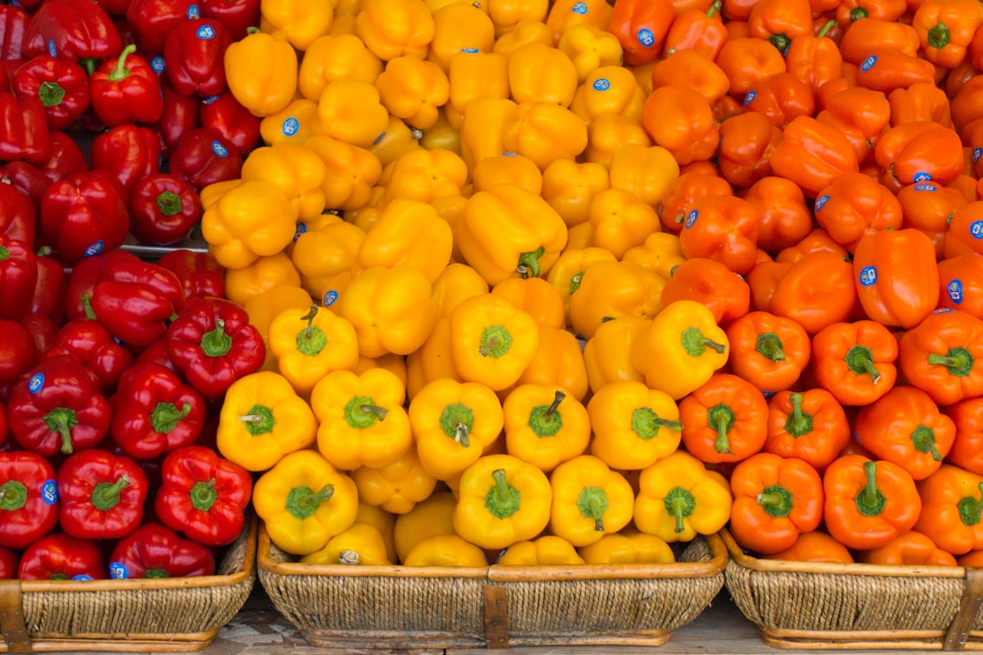 colorful healthy food
