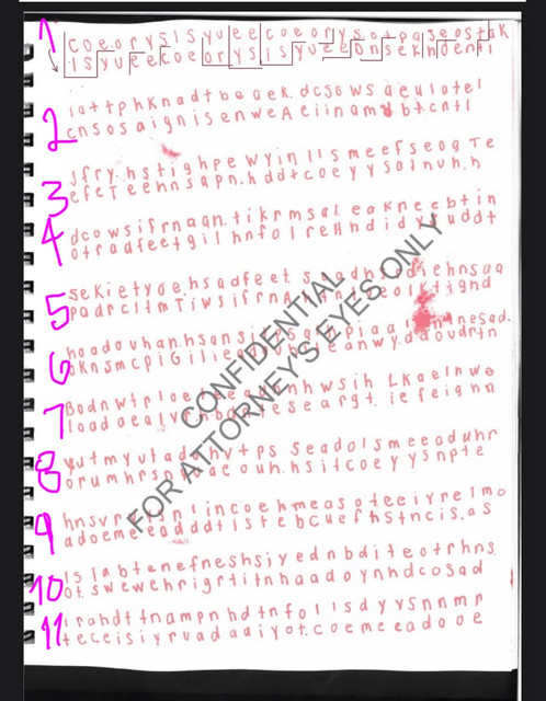 read top to bottom, left to right, one section at a time