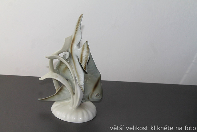 IMG-7901.jpg