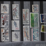 IMG-6798
