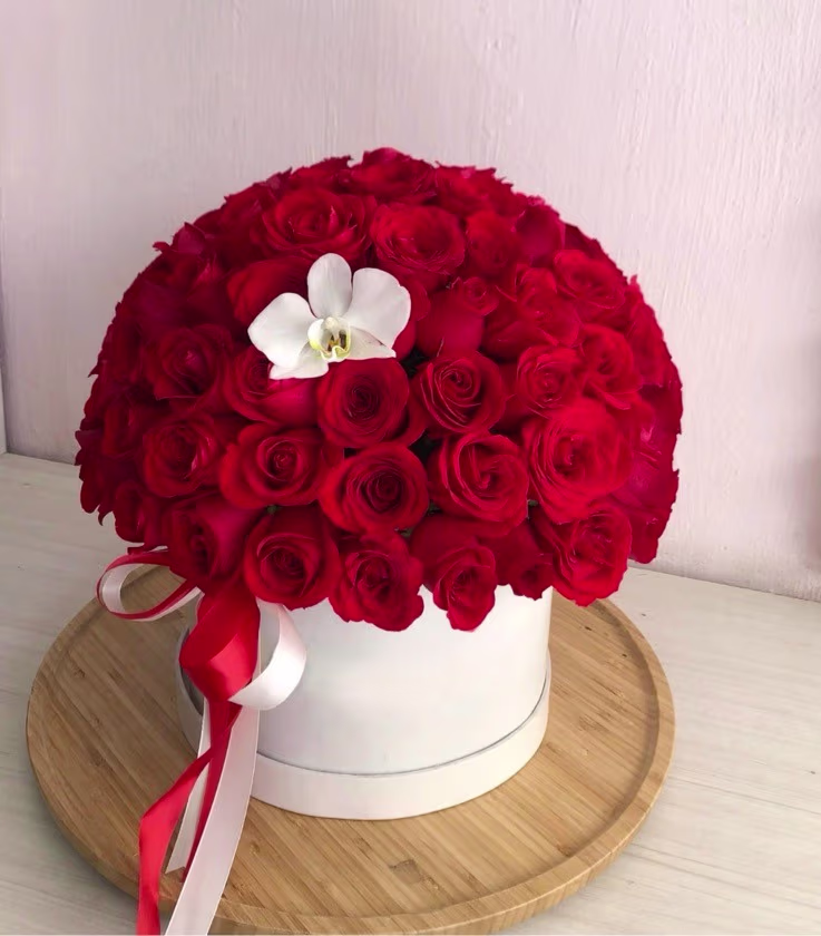 Luxury Red Rose
