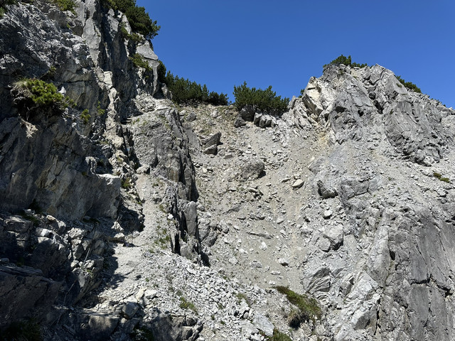 IMG 8941