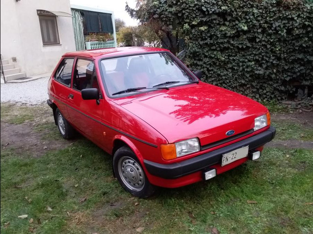 i.ibb.co/93NKsSyn/fiesta502.jpg