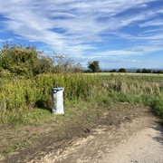 IMG-3324