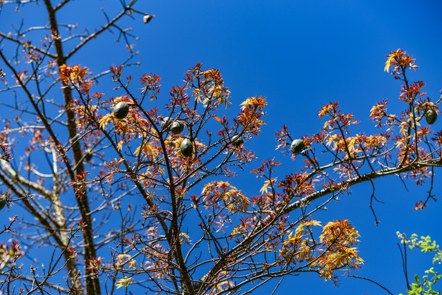 DSF5819.jpg