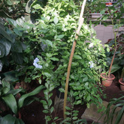 DSC02611