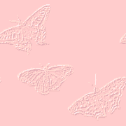 moobackgrounds-dot-com-animal3