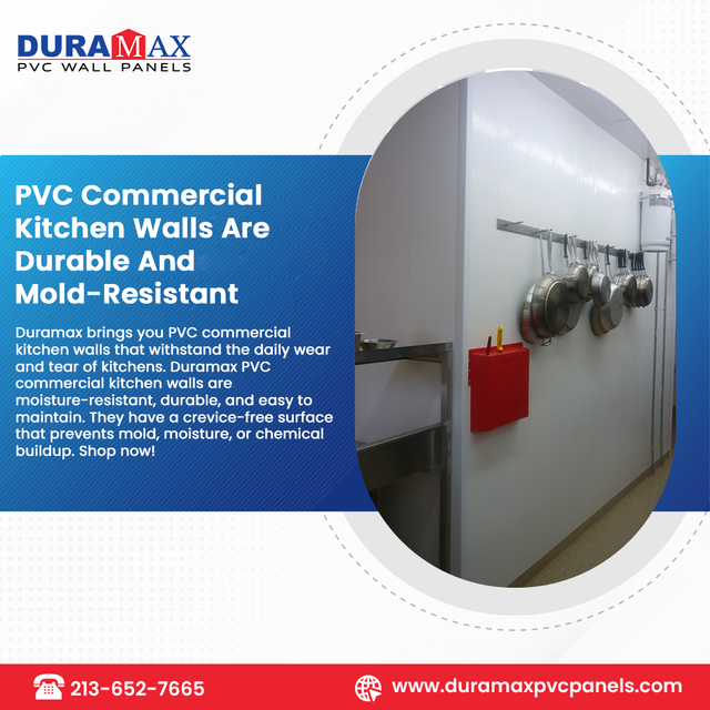 PVC Commercial Kitchen Walls Are Durable And Mold Resistant.png