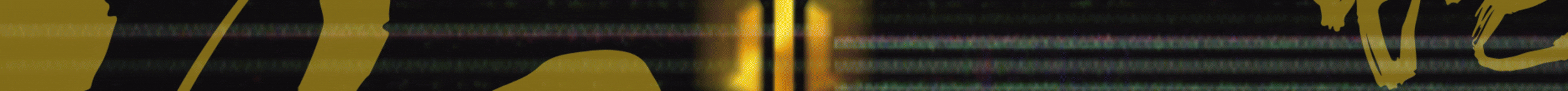 Manhattan City banner