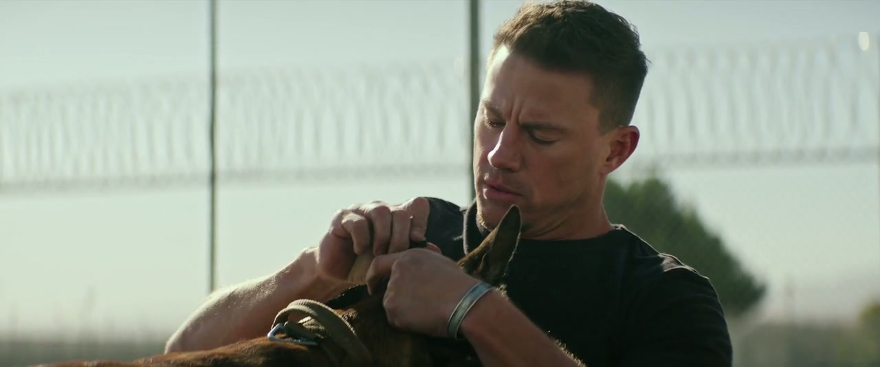 Dog Screenshot