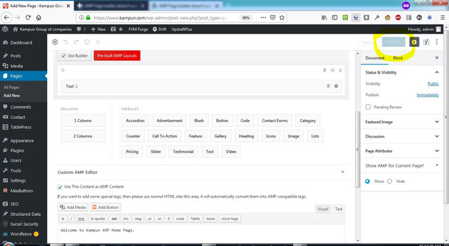 AMP-Page-Builder-Problem03032019