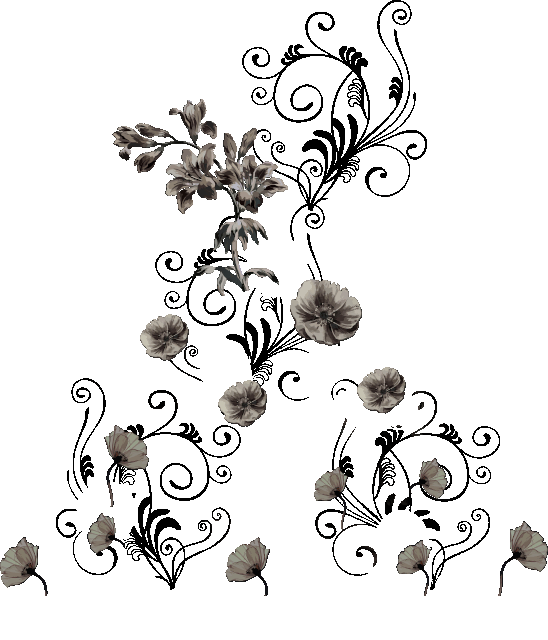 02.gif