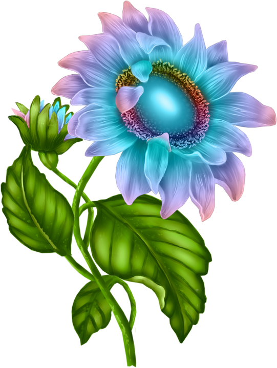 c3105e11a52d7942f8c19f6358a0958f.png