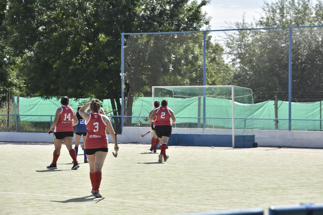 EMA5480.jpg